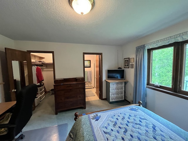 4384 Ugstad Rd, Hermantown, MN 55811 - carpeted bedroom with a walk in closet, ensuite bathroom, a textured ceiling, and a closet