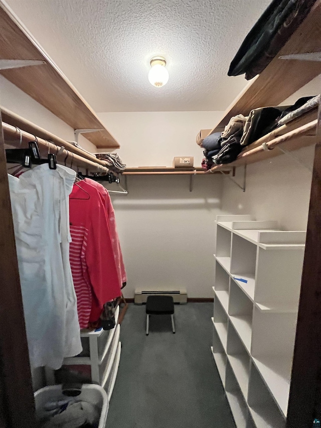 4384 Ugstad Rd, Hermantown, MN 55811 - walk in closet with baseboard heating and carpet