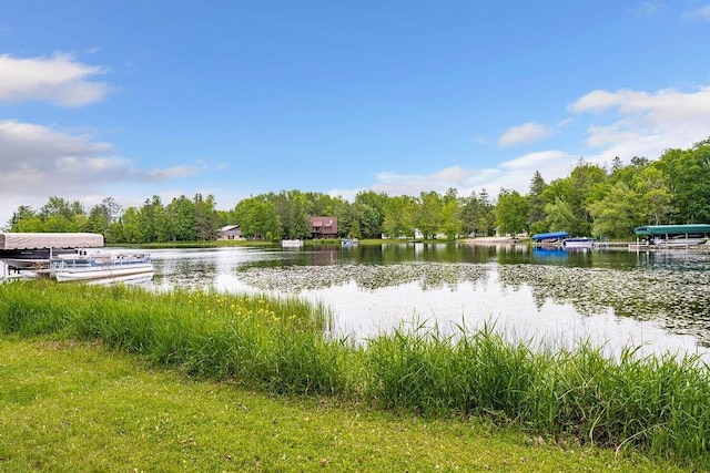 4724 E Ayers Rd, Saginaw, MN 55779 - water view featuring a forest