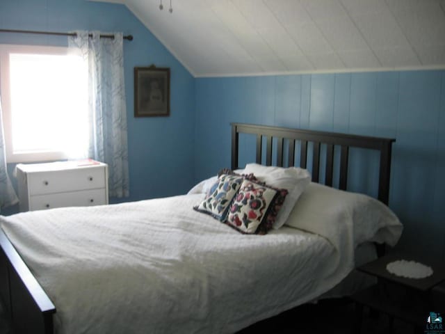 421 E Chapman St, Ely, MN 55731 - bedroom featuring vaulted ceiling