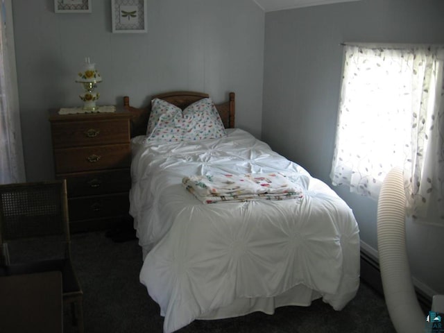 421 E Chapman St, Ely, MN 55731 - view of carpeted bedroom