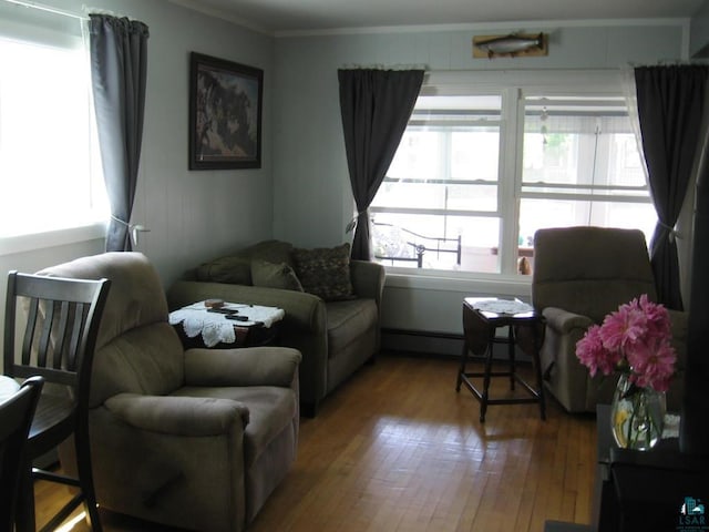 421 E Chapman St, Ely, MN 55731 - living room featuring wood finished floors and crown molding