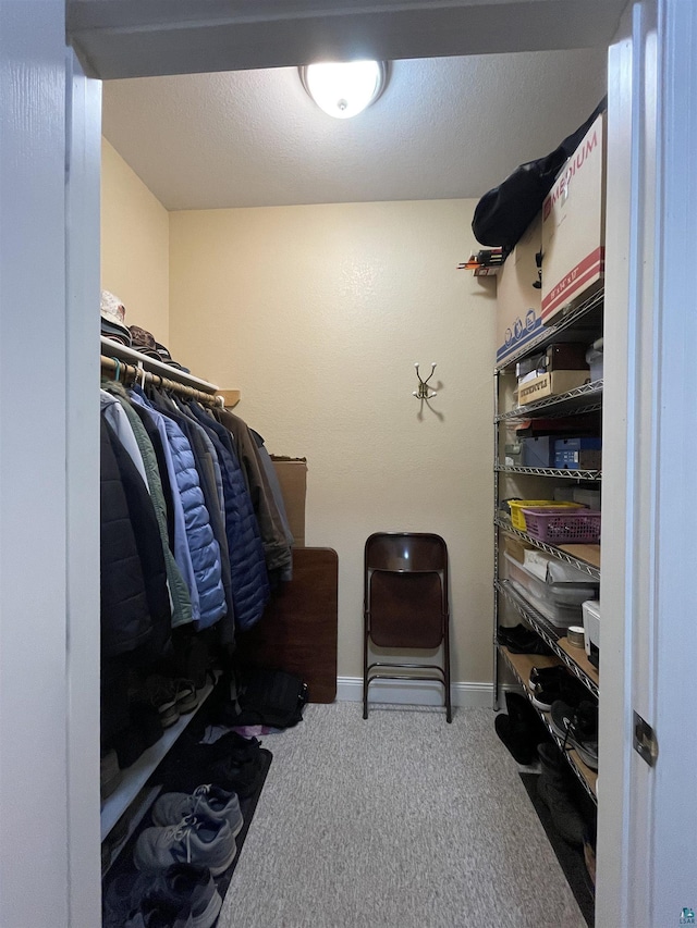 126 W Bayfield St Unit 204, Washburn, WI 54891 - spacious closet featuring carpet floors