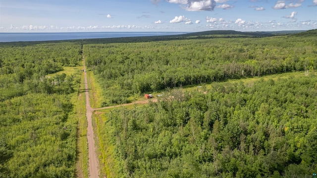 5577 S Cant Rd, Duluth, MN 55804