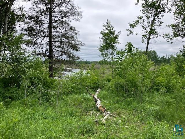 34358 State Highway 18, Finlayson, MN 55735 - view of undeveloped land