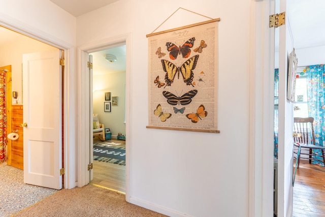 343 E Harvey St, Ely, MN 55731 - view of hall