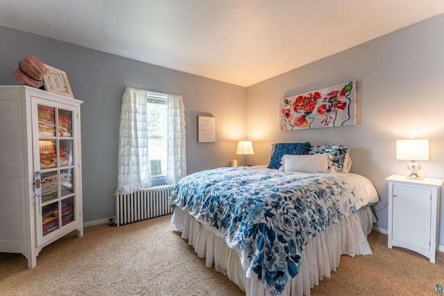 343 E Harvey St, Ely, MN 55731 - bedroom featuring radiator heating unit and light carpet
