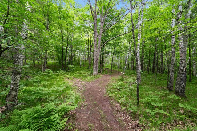 4921 W Pioneer Rd, Duluth, MN 55803 - view of tree filled area