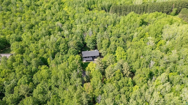 4921 W Pioneer Rd, Duluth, MN 55803 - aerial view of property and surrounding area with a forest