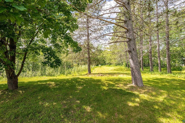 1707 Swan Lake Rd, Duluth, MN 55811 - view of green lawn