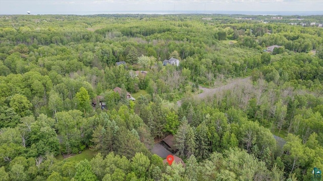 1819 Yosemite Ave, Duluth, MN 55811 - view of property location featuring a forest