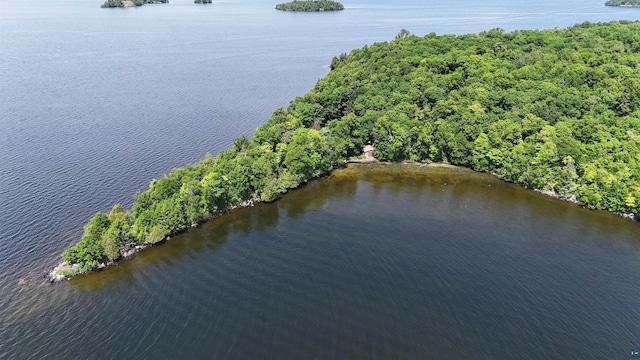 XX3 Sugar Bush Trl, Orr, MN 55771 - bird's eye view of a nearby body of water