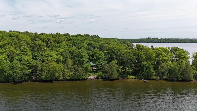 XX3 Sugar Bush Trl, Orr, MN 55771 - water view with a forest