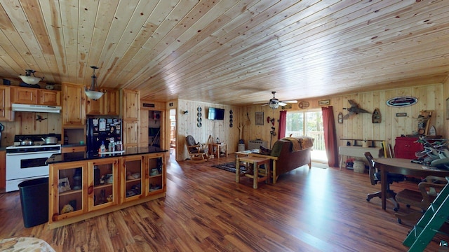 XX3 Sugar Bush Trl, Orr, MN 55771 - living area featuring wooden ceiling, wood finished floors, wooden walls, and ceiling fan