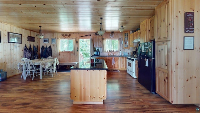 XX3 Sugar Bush Trl, Orr, MN 55771 - kitchen with freestanding refrigerator, wooden ceiling, white gas range, under cabinet range hood, and a center island