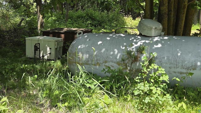 XX3 Sugar Bush Trl, Orr, MN 55771 - exterior view of heating fuel and gas tank