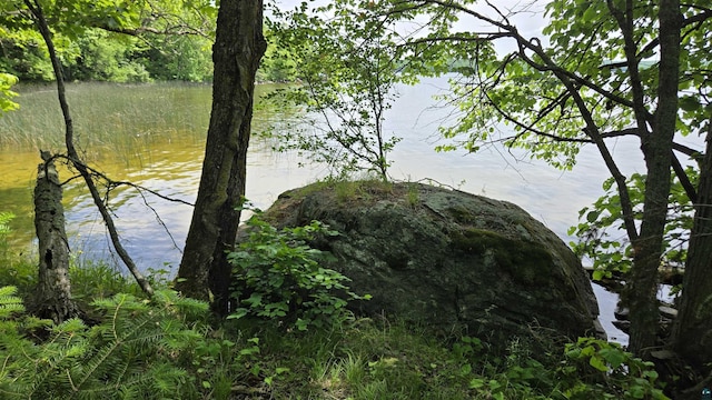 XX3 Sugar Bush Trl, Orr, MN 55771 - water view