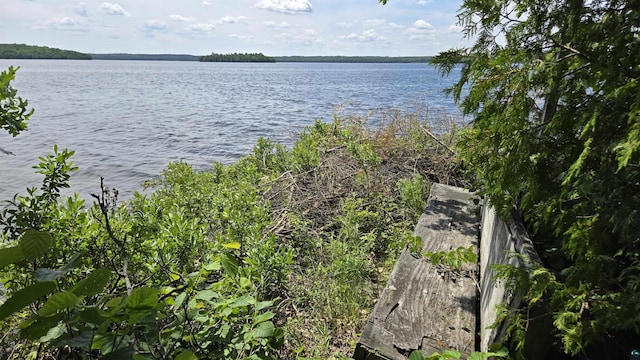 XX3 Sugar Bush Trl, Orr, MN 55771 - water view