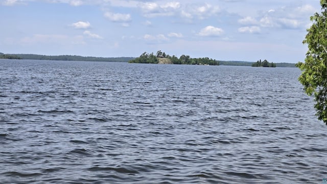 XX3 Sugar Bush Trl, Orr, MN 55771 - water view