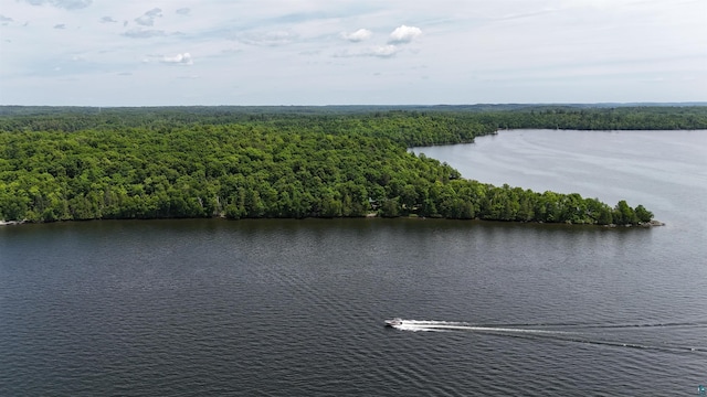 XX3 Sugar Bush Trl, Orr, MN 55771 - aerial view of a forest and a nearby body of water