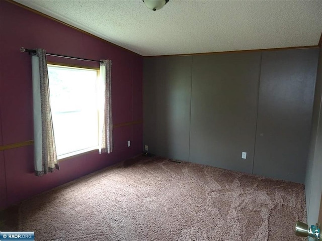 410 S 2nd St, Tower, MN 55790 - carpeted spare room with healthy amount of natural light, a textured ceiling, and vaulted ceiling
