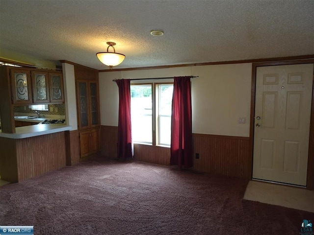 410 S 2nd St, Tower, MN 55790 - unfurnished dining area featuring wainscoting, a textured ceiling, carpet, and wooden walls