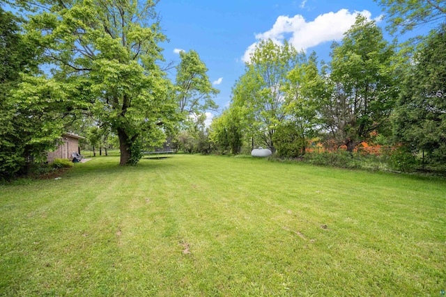 5510 Thompson Hill Rd, Duluth, MN 55810 - view of green lawn with a trampoline
