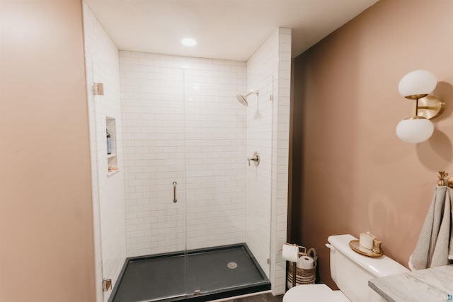 27 Ryan Ln, Esko, MN 55733 - bathroom with toilet and a stall shower