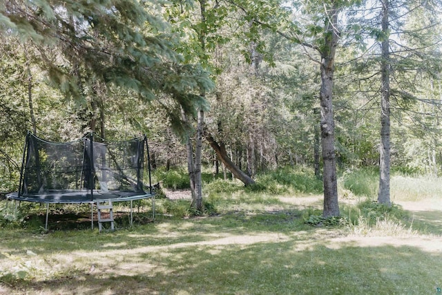 27 Ryan Ln, Esko, MN 55733 - view of grassy yard featuring a trampoline