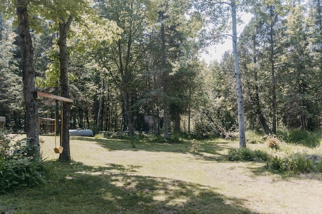 27 Ryan Ln, Esko, MN 55733 - view of green lawn with a forest view