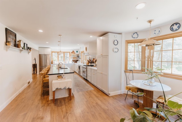 27 Ryan Ln, Esko, MN 55733 - kitchen featuring high end appliances, plenty of natural light, light wood-type flooring, decorative light fixtures, and recessed lighting