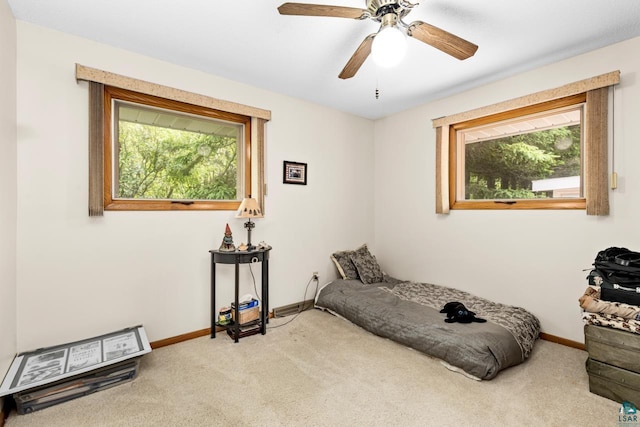 4750 Morris Thomas Rd, Hermantown, MN 55811 - bedroom with carpet and ceiling fan