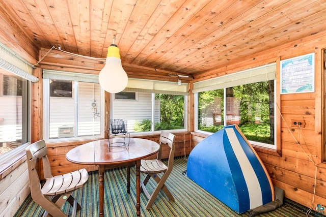 4750 Morris Thomas Rd, Hermantown, MN 55811 - view of sunroom