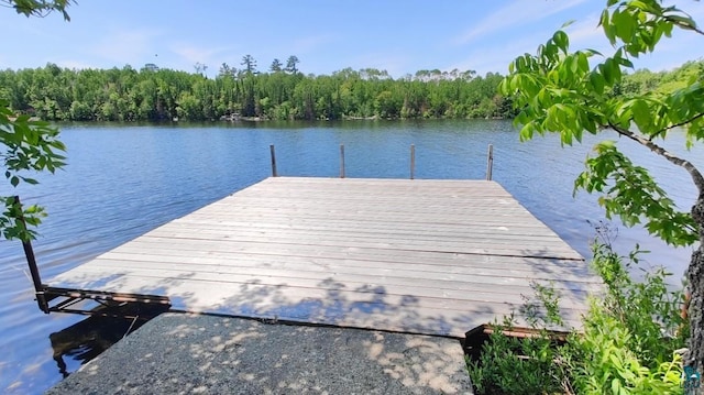2357 Retreat Lodge Rd, Cook, MN 55723 - dock with a water view