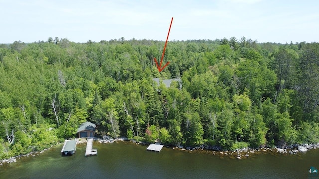 2357 Retreat Lodge Rd, Cook, MN 55723 - view of property location featuring a forest and a large body of water