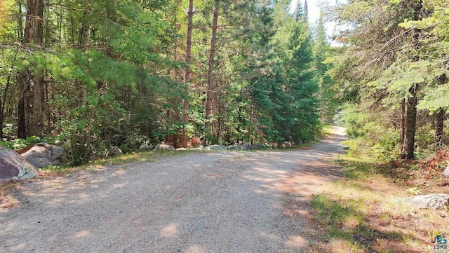2357 Retreat Lodge Rd, Cook, MN 55723 - view of street with a forest view
