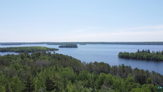 2357 Retreat Lodge Rd, Cook, MN 55723 - water view featuring a forest