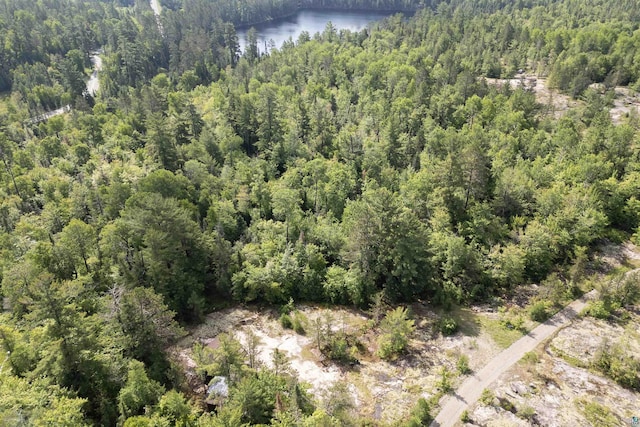 4194 First Lake Rd, Ely, MN 55731 - view of property location with a heavily wooded area and a large body of water