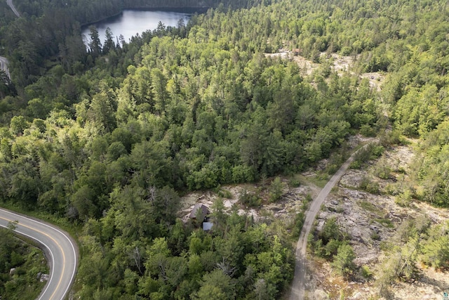 4194 First Lake Rd, Ely, MN 55731 - aerial overview of property's location featuring a forest and a large body of water