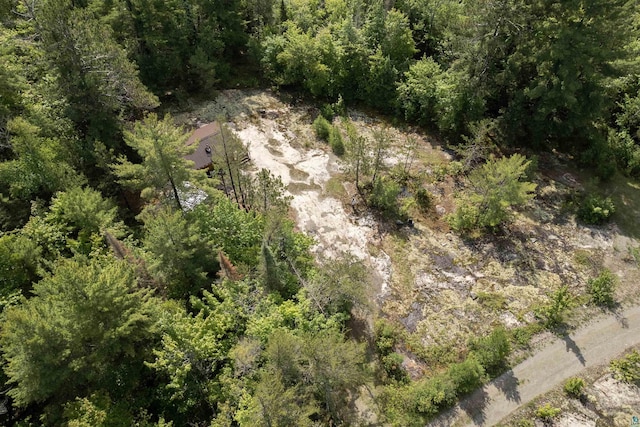 4194 First Lake Rd, Ely, MN 55731 - aerial overview of property's location with a heavily wooded area