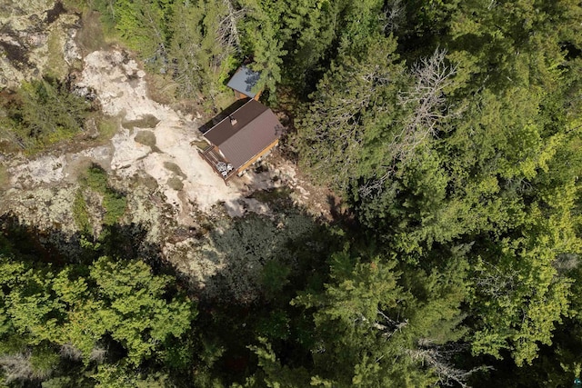 4194 First Lake Rd, Ely, MN 55731 - aerial overview of property's location
