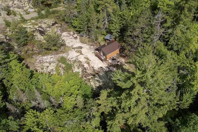 4194 First Lake Rd, Ely, MN 55731 - view of property location