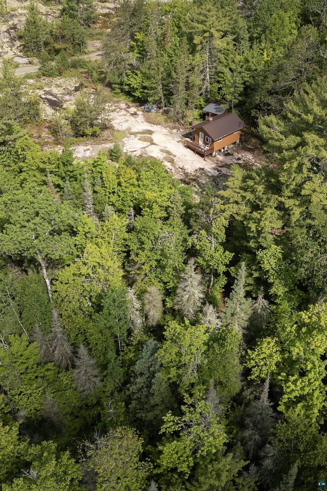 4194 First Lake Rd, Ely, MN 55731 - drone / aerial view