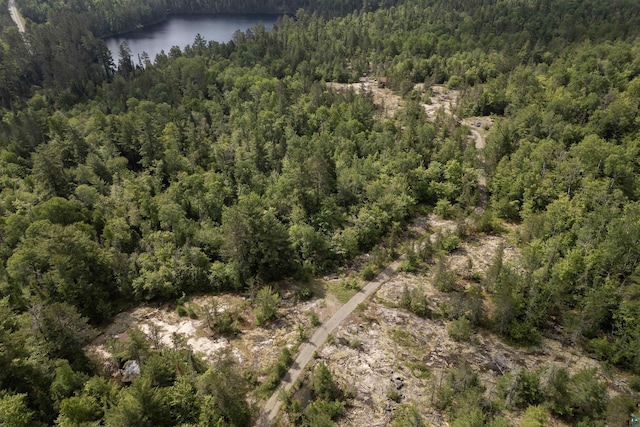 4194 First Lake Rd, Ely, MN 55731 - aerial overview of property's location featuring a forest and a large body of water