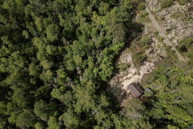 4194 First Lake Rd, Ely, MN 55731 - aerial view of property's location