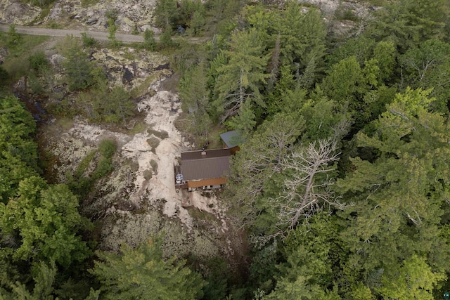 4194 First Lake Rd, Ely, MN 55731 - aerial view of property and surrounding area
