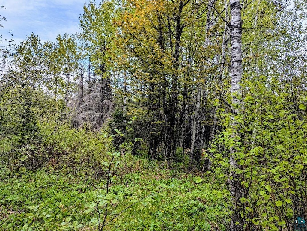 XX37 W Lismore Rd, Duluth, MN 55803