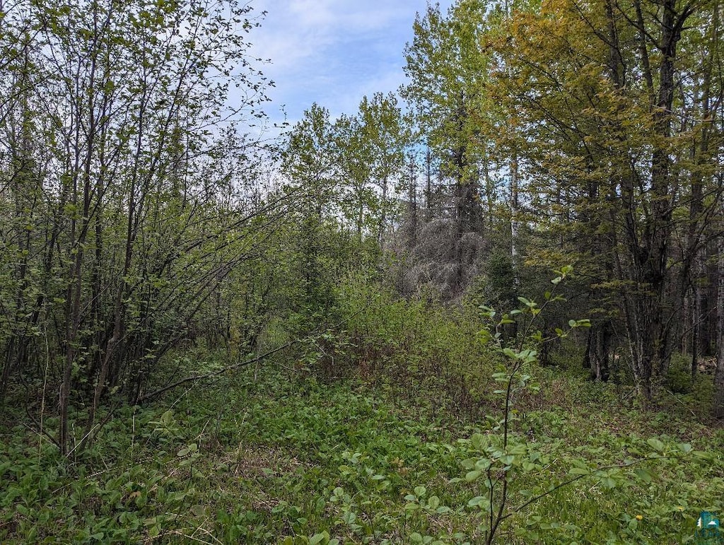 XX37 W Lismore Rd, Duluth, MN 55803