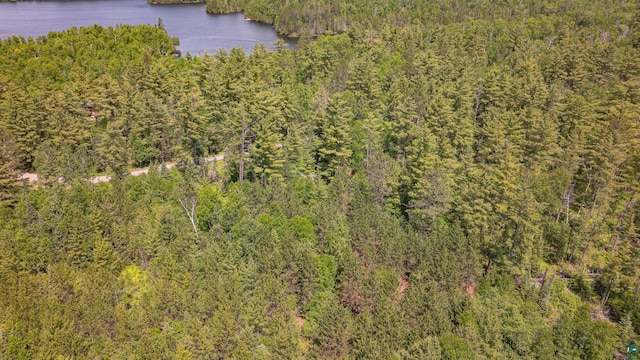 3596 Lake Four Rd W, Ely, MN 55731