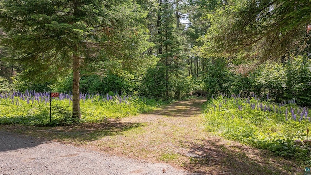 3596 Lake Four Rd W, Ely, MN 55731